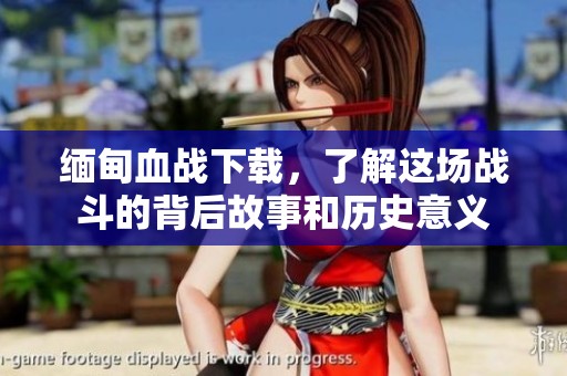 缅甸血战下载，了解这场战斗的背后故事和历史意义