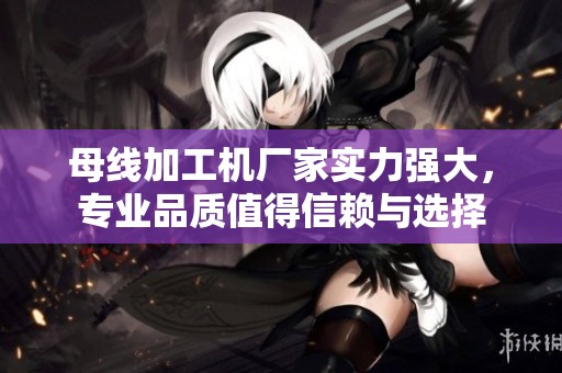 母线加工机厂家实力强大，专业品质值得信赖与选择