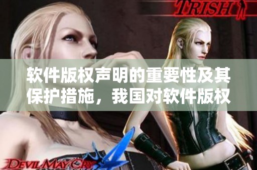 软件版权声明的重要性及其保护措施，我国对软件版权的相关规定详解