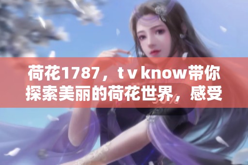 荷花1787，tⅴknow带你探索美丽的荷花世界，感受自然的魅力与宁静