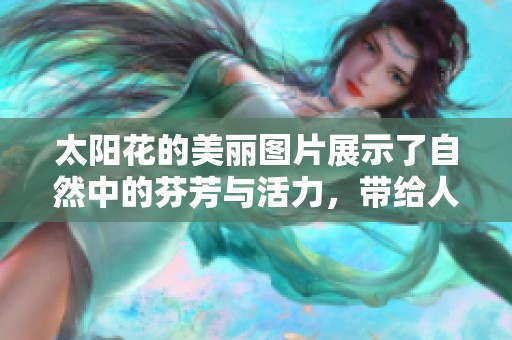 太阳花的美丽图片展示了自然中的芬芳与活力，带给人们无限的惊喜与温暖。