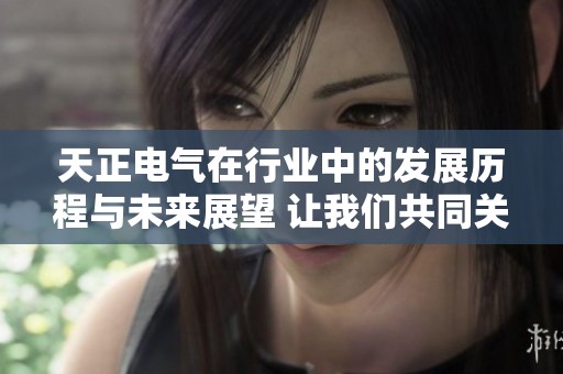 天正电气在行业中的发展历程与未来展望 让我们共同关注一下这家公司的最新动态