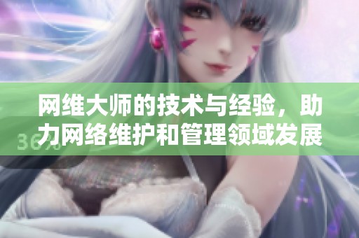 网维大师的技术与经验，助力网络维护和管理领域发展的重要性解析