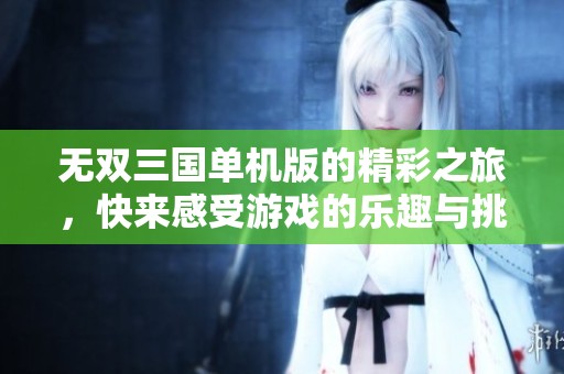 无双三国单机版的精彩之旅，快来感受游戏的乐趣与挑战！