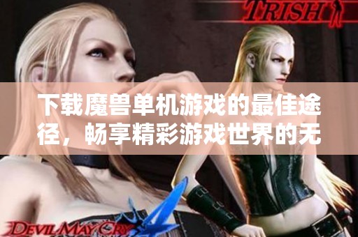 下载魔兽单机游戏的最佳途径，畅享精彩游戏世界的无限乐趣