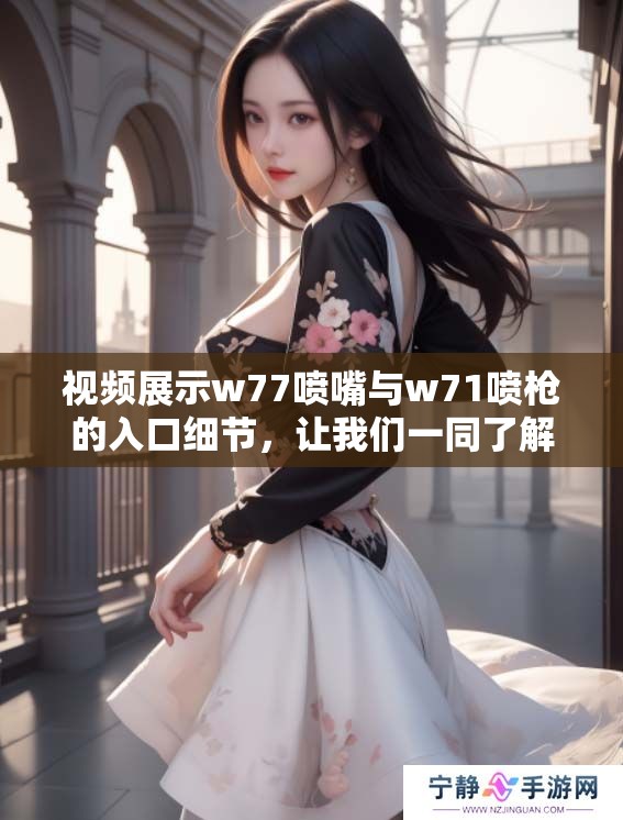 视频展示w77喷嘴与w71喷枪的入口细节，让我们一同了解其工作原理