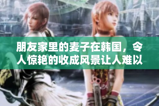 朋友家里的麦子在韩国，令人惊艳的收成风景让人难以忘怀