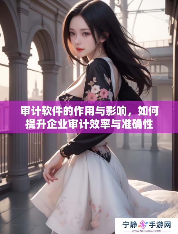 审计软件的作用与影响，如何提升企业审计效率与准确性