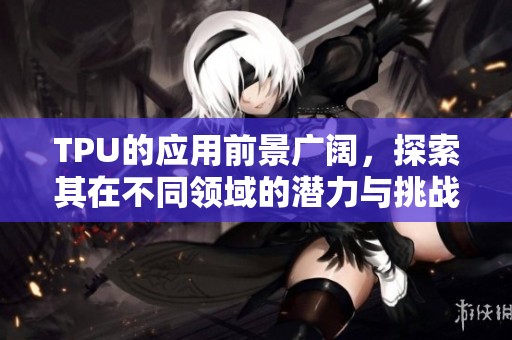 TPU的应用前景广阔，探索其在不同领域的潜力与挑战