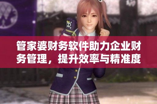 管家婆财务软件助力企业财务管理，提升效率与精准度不容忽视