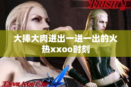 大捧大肉进出一进一出的火热xxoo时刻