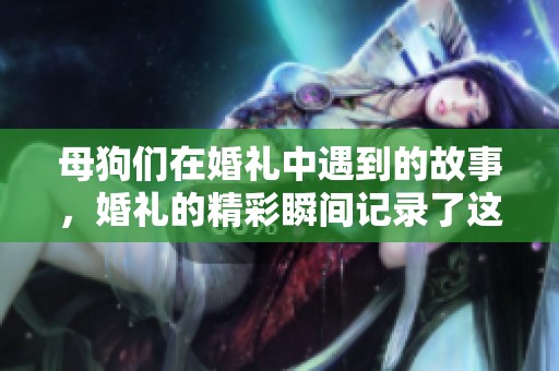 母狗们在婚礼中遇到的故事，婚礼的精彩瞬间记录了这一切