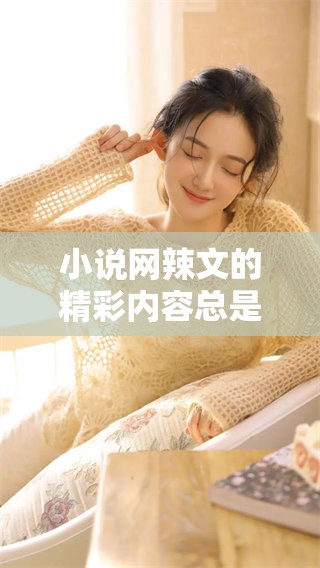 小说网辣文的精彩内容总是让人欲罢不能，快来一起探索吧