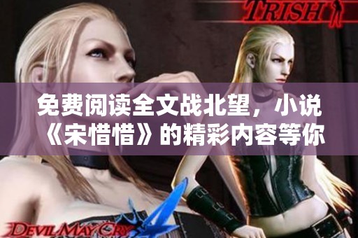 免费阅读全文战北望，小说《宋惜惜》的精彩内容等你来探索！