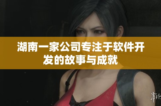 湖南一家公司专注于软件开发的故事与成就