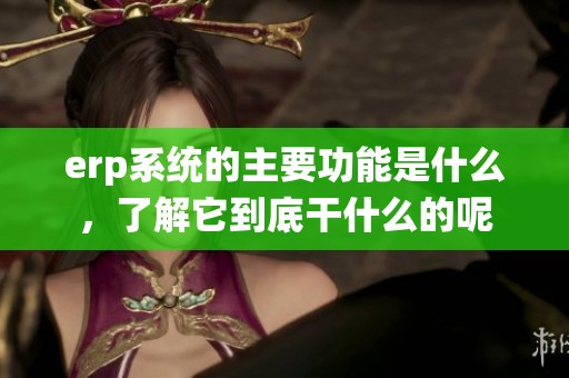 erp系统的主要功能是什么，了解它到底干什么的呢