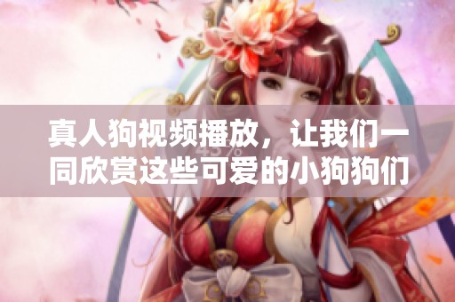 真人狗视频播放，让我们一同欣赏这些可爱的小狗狗们的精彩瞬间