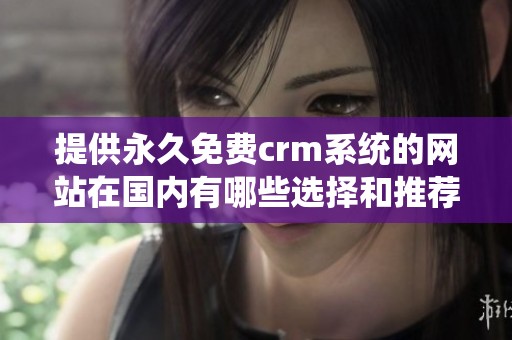 提供永久免费crm系统的网站在国内有哪些选择和推荐呢
