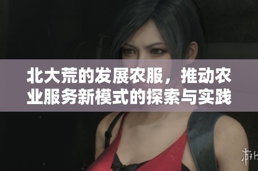 北大荒的发展农服，推动农业服务新模式的探索与实践
