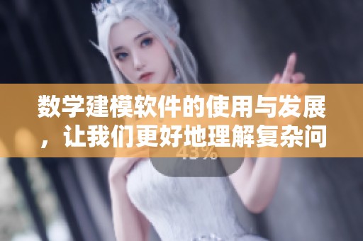 数学建模软件的使用与发展，让我们更好地理解复杂问题的解决方案