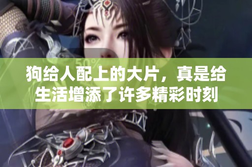狗给人配上的大片，真是给生活增添了许多精彩时刻