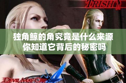 独角鲸的角究竟是什么来源 你知道它背后的秘密吗