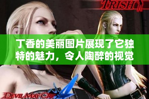 **的美丽图片展现了它独特的魅力，令人陶醉的视觉体验。