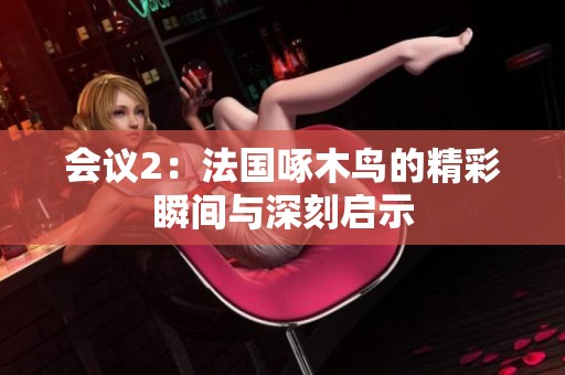 会议2：法国啄木鸟的精彩瞬间与深刻启示