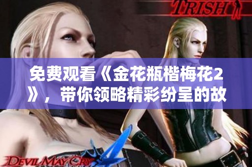 免费观看《金花瓶楷梅花2》，带你领略精彩纷呈的故事世界