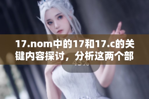 17.nom中的17和17.c的关键内容探讨，分析这两个部分的关系与意义