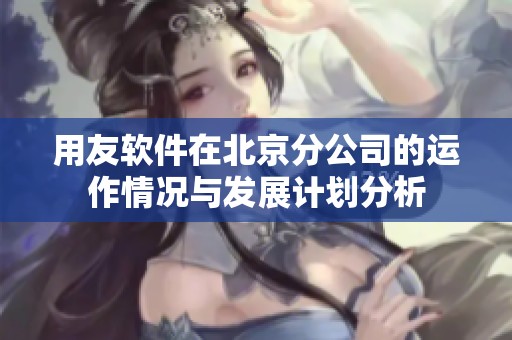 用友软件在北京分公司的运作情况与发展计划分析
