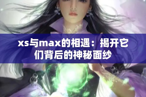 xs与max的相遇：揭开它们背后的神秘面纱