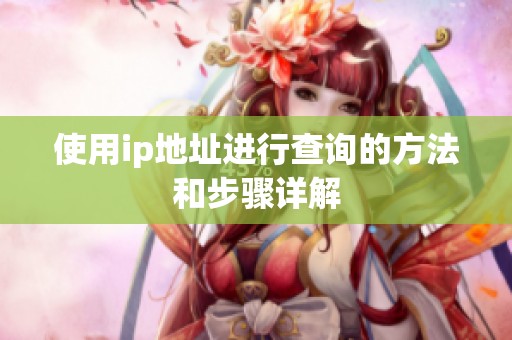 使用ip地址进行查询的方法和步骤详解