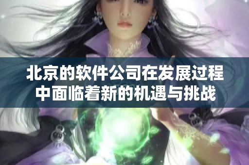 北京的软件公司在发展过程中面临着新的机遇与挑战