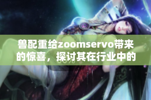 兽配重给zoomservo带来的惊喜，探讨其在行业中的应用与影响