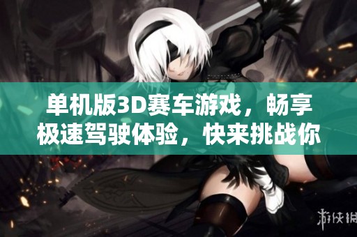 单机版3D赛车游戏，畅享极速驾驶体验，快来挑战你的极限吧