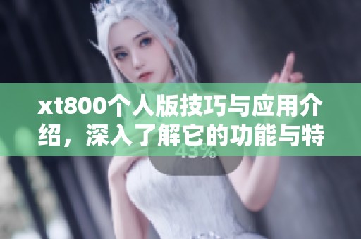xt800个人版技巧与应用介绍，深入了解它的功能与特点