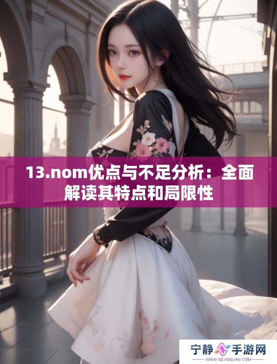 13.nom优点与不足分析：全面解读其特点和局限性
