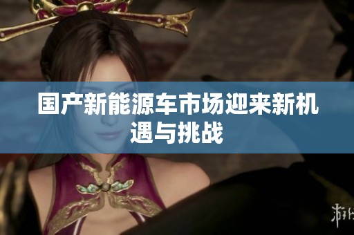 国产新能源车市场迎来新机遇与挑战