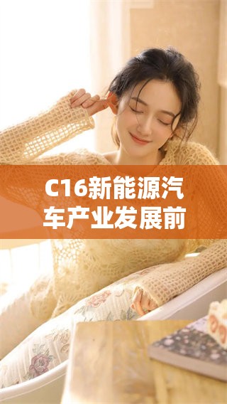 C16新能源汽车产业发展前景分析与挑战探讨