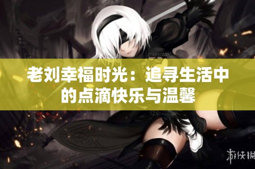 老刘幸福时光：追寻生活中的点滴快乐与温馨