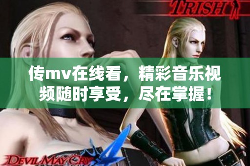 传mv在线看，精彩音乐视频随时享受，尽在掌握！