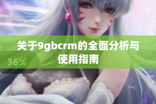 关于9gbcrm的全面分析与使用指南