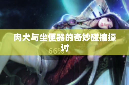 肉犬与坐便器的奇妙碰撞探讨