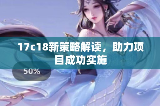 17c18新策略解读，助力项目成功实施