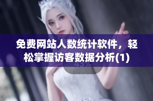 免费网站人数统计软件，轻松掌握访客数据分析(1)