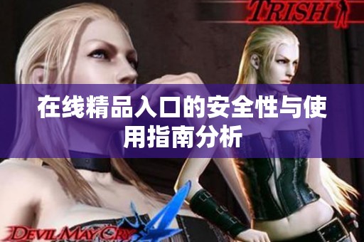 在线精品入口的安全性与使用指南分析