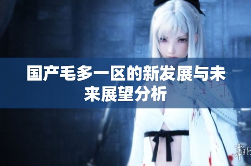 国产毛多一区的新发展与未来展望分析