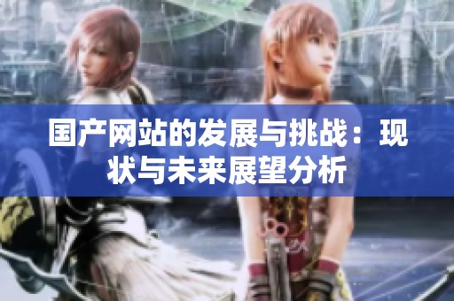 国产网站的发展与挑战：现状与未来展望分析