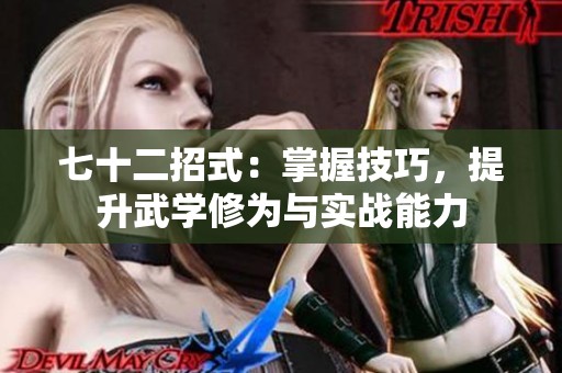七十二招式：掌握技巧，提升武学修为与实战能力